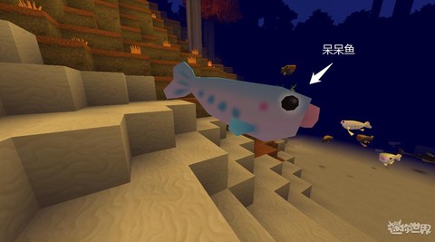 迷你世界呆呆鱼怎么养