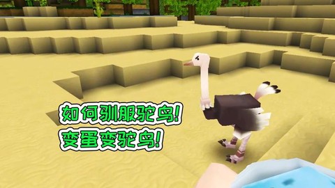 迷你世界中怎么驯服鸵鸟[图1]