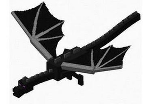 我的世界末影龙吃什么[图2]