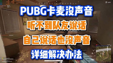 绝地求生为什么说不了话