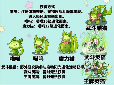 洛克王国武斗酷猫怎么进化[图1]