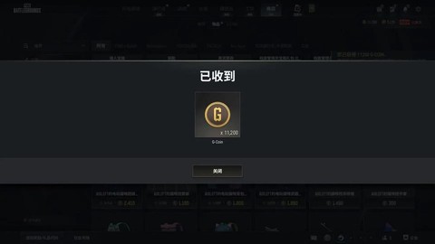 绝地求生怎么用金币[图2]