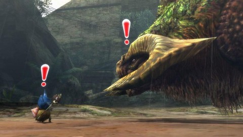 怪物猎人p3尾锤龙弱什么[图2]