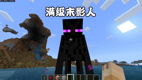 我的世界末影人怎么养