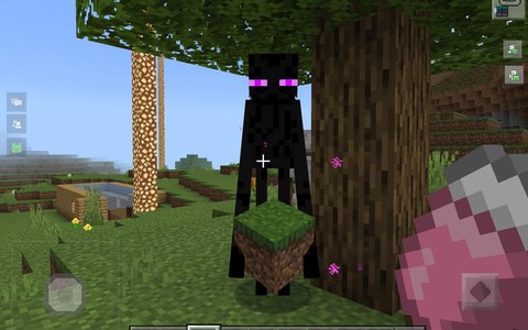 我的世界末影人怎么养[图1]