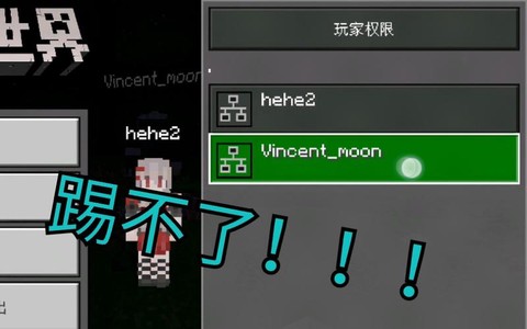 网易我的世界怎么踢人[图1]