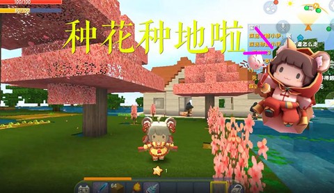迷你世界怎么种花视频